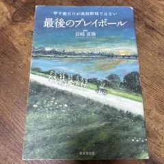 最後のプレイボール : 甲子園だけが高校野球ではない