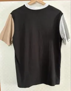 Dickies ロゴ Tシャツ ブラック