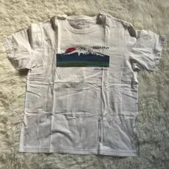 Eddie Bauer 半袖コットンTシャツ