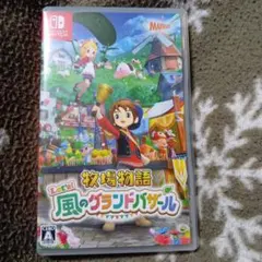 Switch 牧場物語 Let's!風のグランドバザール