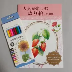 大人のぬり絵入門セット！！