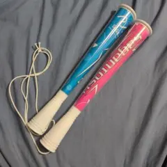 SAGA メガホン 青 ピンク SSP