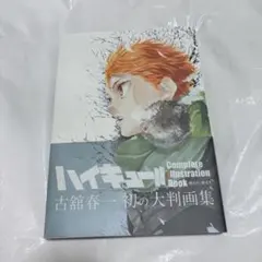 ハイキュー!! Complete Illustration Book 大判画集