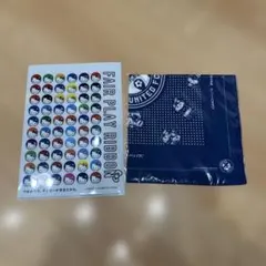 鹿児島ユナイテッドFC×HALLO KITTYクリアファイル＆バンダナ