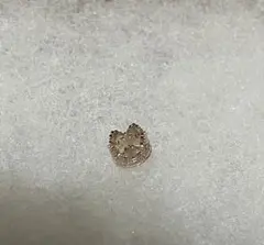 2026年最新】ageteの人気アイテム - メルカリ