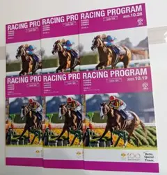 【祝】超メルカリ市 JRA2025年 秋華賞•菊花賞レーシングプログラム 各3冊