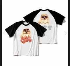 Item thumbnail for item 9f886136-1173-44f7-8fe2-092dc54caf0b