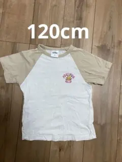 ポケモン デデンネ Tシャツ　120cmのサムネイル