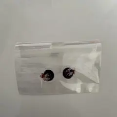 with cake！ Berry Crown 四季凪アキラ