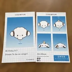 サンリオ　証明写真風スマロイド　こぎみゅん