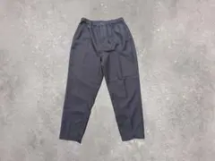 ポリサージスラックスのサムネイル