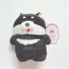 ムクムクむっくん にんきもの しばくろーのサムネイル