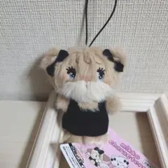 ラテヌイグルミ