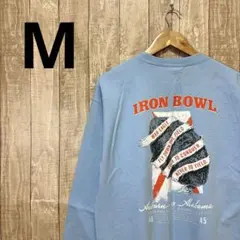 ギルダン　スウェット　アメカジ　トレーナー　カナダ卸　2019 裏起毛　古着