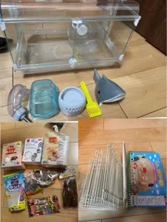 Item thumbnail for item f1419c04-c405-4b12-98bb-bdb8c76483f7