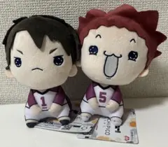 ハイキュー！！　もちぴこぬいぐるみ8 天童覚 牛島若利 2種セット