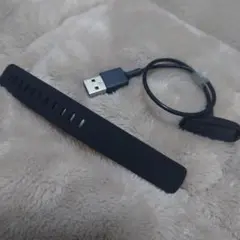 Fitbit　Inspire2 付属充電ケーブル、替えベルトセット　新品未使用