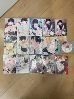 BL漫画 まとめ売り 13冊 特典冊子 ドラマCD付き 商業BL