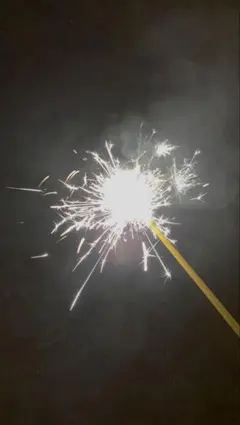 專用