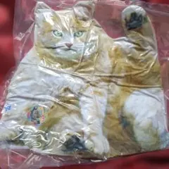 Item thumbnail for item 740ac723-c11f-4a58-b2c6-ee04517fb7dd