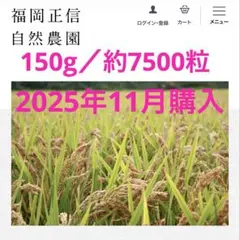 もち種籾 300g ハッピーヒル代用の陸稲種子 稲作に挑戦！楽しむ米作り