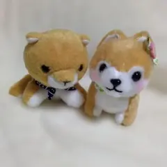 まめしば三兄弟　ぬいぐるみマスコットのサムネイル