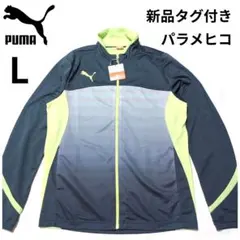 Item thumbnail for item 13890b49-f501-4f69-915d-bc98474cfd6e