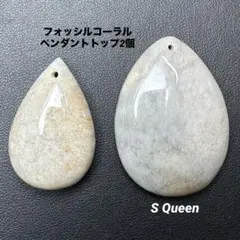 ✨ フォッシルコーラル 2個まとめ売り 化石珊瑚 ペンダントトップ ③ 天然石