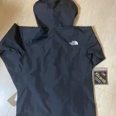 THE NORTH FACE GORE-TEX マウンテンパーカー ブラック