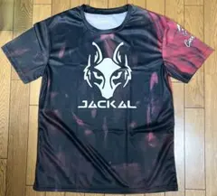 Item thumbnail for item 0e0b48ac-0fc6-43f1-b5f0-52b94bc81e79