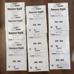 2026年最新】サマーサピックスの人気アイテム - メルカリ