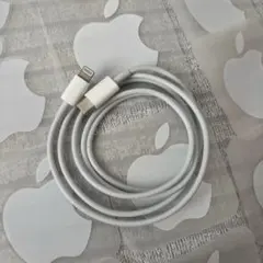 iPhone 充電器 純正 タイプCライトニングケーブル Apple正規品