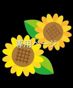 IV⸝⋆様 専用ページ