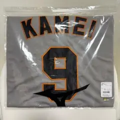 Item thumbnail for item 4ac1cf8c-f02e-45d1-8682-b5961fad7e96