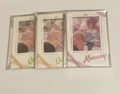 NU: カーニバル 箔押し加工チェキ風カード　ケシー　モルフィス