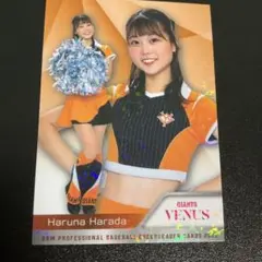 原田遥南　BBM　トレーディングカード　2025
