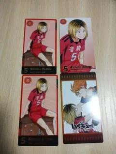 ハイキュー トレカ ゴミ捨て場の決戦展 日向翔陽 孤爪研磨　トレカ