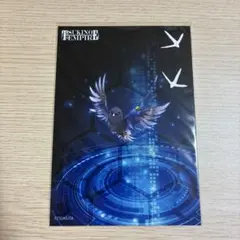 【匿名取引】 ツキウタ。 皐月葵 ブロマイド ②