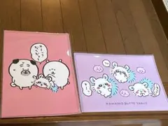 モモンガ ちいかわ ナガノマーケット クリアファイル 2枚セット