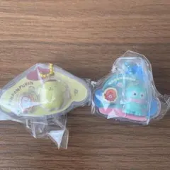 サンリオキャラクターズ パッケージチャーム　セット
