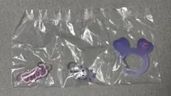 TWICE LOVELYS アクリルカラビナ　フロッキーマスコット　サナ