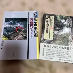 Item thumbnail for item 8781e781-5e67-4ade-8064-4623e77bbe8f