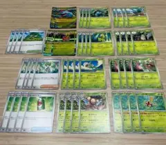 メガフシギバナex RR 進化ライン　デッキパーツセット