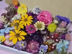 ドライフラワー花材(ミニ)
