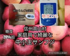 ラブチャオ様専用、味は贈答用クラス5キロ【シャキシャキ】信州高山村産サンフジ