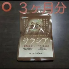 Item thumbnail for item 91f513b0-0e5b-427c-9cad-c6a1f46cc9d0