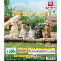2026年5月発売予定】まてぼうけ 犬 4 ミニチュア ダックスフンド