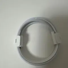 60W USB- C充電ケーブル（1m）