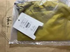 idem × BROWN THEATRE PRODUCTS コラボ　サコッシュ