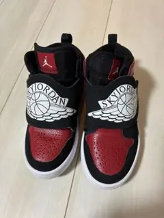 Jordan SKYJORDAN スニーカー US 11C